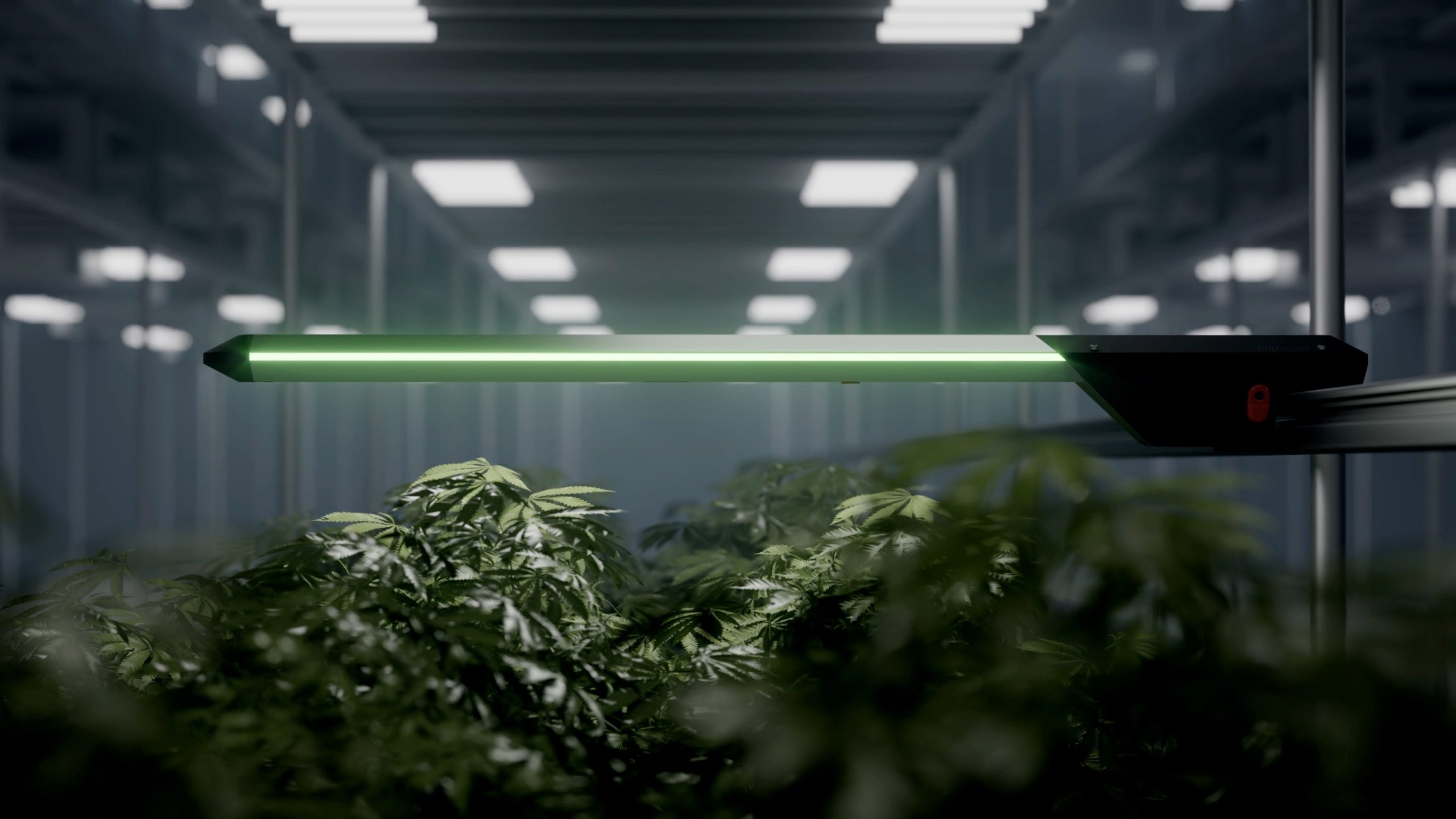 Budscout robot render